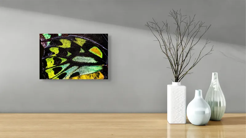 Tablou Canvas, "Splendoarea aripilor de fluture exotice", Culori, Texturi, Irizație, Aripi, Natură, Strălucire, Detalii, Frumusețe, Contrast, Model., 39 x 26 cm – poza 8