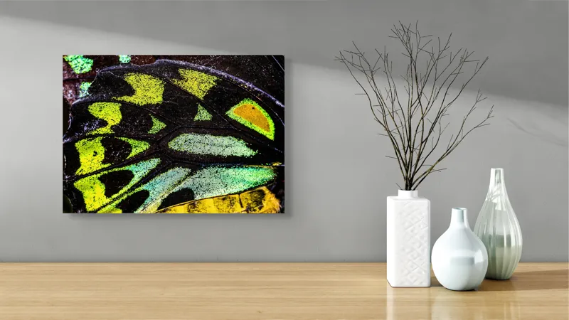 Tablou Canvas, "Splendoarea aripilor de fluture exotice", Culori, Texturi, Irizație, Aripi, Natură, Strălucire, Detalii, Frumusețe, Contrast, Model., 54 x 39 cm – poza 3