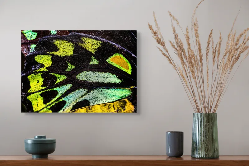 Tablou Canvas, "Splendoarea aripilor de fluture exotice", Culori, Texturi, Irizație, Aripi, Natură, Strălucire, Detalii, Frumusețe, Contrast, Model., 54 x 39 cm – poza 4