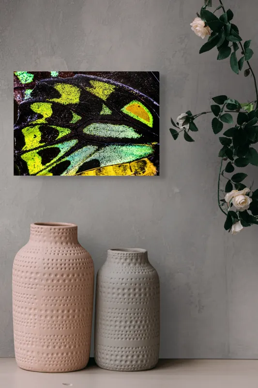 Tablou Canvas, "Splendoarea aripilor de fluture exotice", Culori, Texturi, Irizație, Aripi, Natură, Strălucire, Detalii, Frumusețe, Contrast, Model., 54 x 39 cm – poza 8
