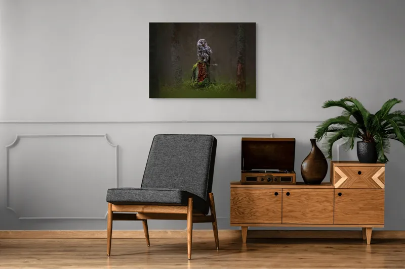 Tablou Canvas, "Bufniță solitară în pădurea înnegurată", Bufniță, Noapte, Pădure, Trunchi, Muschi, Mister, Calm, Natură, Umbre, 100 x 70 cm – poza 8