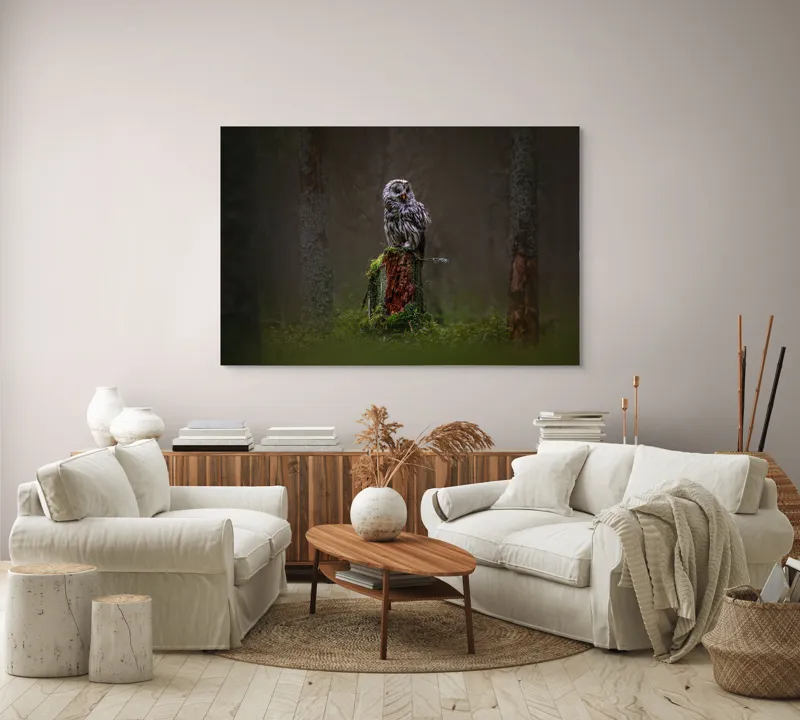 Tablou Canvas, "Bufniță solitară în pădurea înnegurată", Bufniță, Noapte, Pădure, Trunchi, Muschi, Mister, Calm, Natură, Umbre, 150 x 100 cm – poza 3