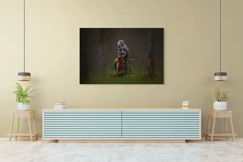 Tablou Canvas, "Bufniță solitară în pădurea înnegurată", Bufniță, Noapte, Pădure, Trunchi, Muschi, Mister, Calm, Natură, Umbre, 150 x 100 cm – poza 6