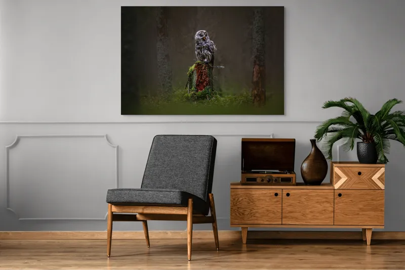 Tablou Canvas, "Bufniță solitară în pădurea înnegurată", Bufniță, Noapte, Pădure, Trunchi, Muschi, Mister, Calm, Natură, Umbre, 150 x 100 cm – poza 8