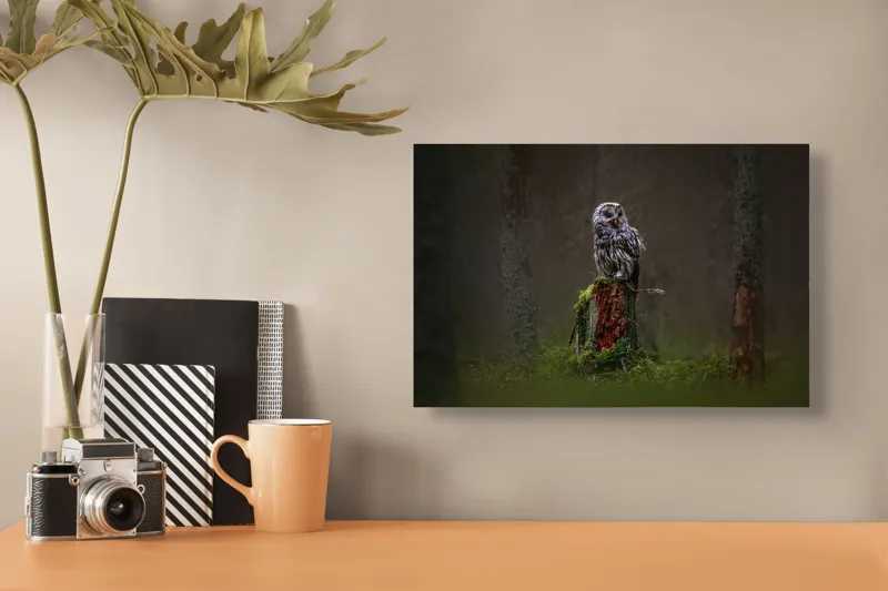 Tablou Canvas, "Bufniță solitară în pădurea înnegurată", Bufniță, Noapte, Pădure, Trunchi, Muschi, Mister, Calm, Natură, Umbre, 39 x 26 cm – poza 3