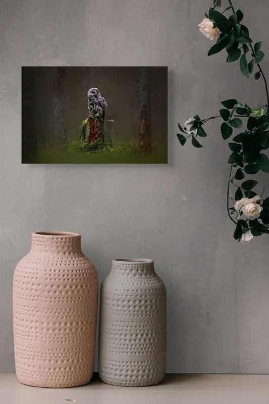 Tablou Canvas, "Bufniță solitară în pădurea înnegurată", Bufniță, Noapte, Pădure, Trunchi, Muschi, Mister, Calm, Natură, Umbre, 39 x 26 cm – poza 4