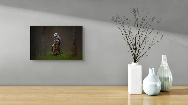 Tablou Canvas, "Bufniță solitară în pădurea înnegurată", Bufniță, Noapte, Pădure, Trunchi, Muschi, Mister, Calm, Natură, Umbre, 39 x 26 cm – poza 8