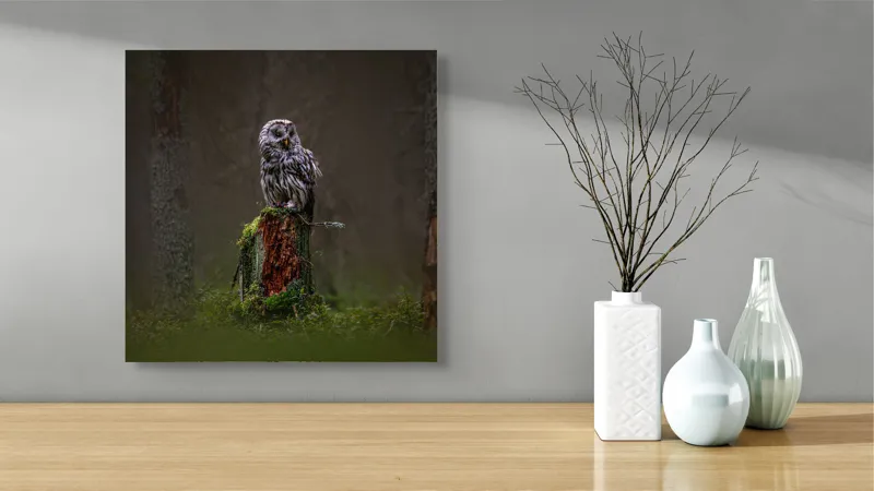 Tablou Canvas, "Bufniță solitară în pădurea înnegurată", Bufniță, Noapte, Pădure, Trunchi, Muschi, Mister, Calm, Natură, Umbre, 50 x 50 cm – poza 3