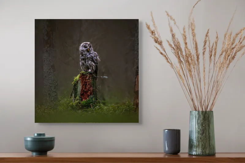 Tablou Canvas, "Bufniță solitară în pădurea înnegurată", Bufniță, Noapte, Pădure, Trunchi, Muschi, Mister, Calm, Natură, Umbre, 50 x 50 cm – poza 4