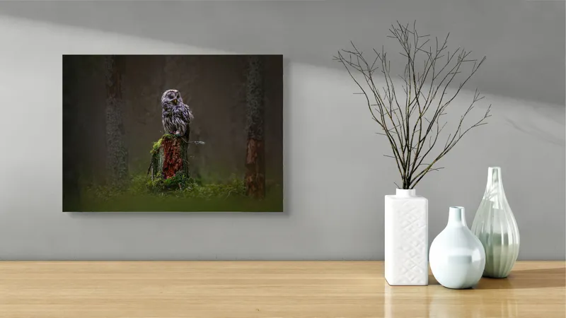 Tablou Canvas, "Bufniță solitară în pădurea înnegurată", Bufniță, Noapte, Pădure, Trunchi, Muschi, Mister, Calm, Natură, Umbre, 54 x 39 cm – poza 3