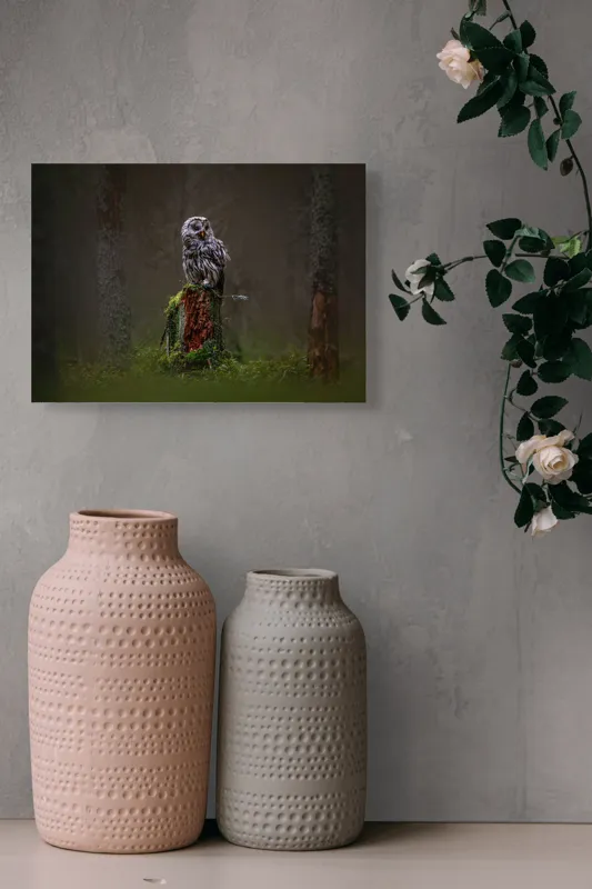 Tablou Canvas, "Bufniță solitară în pădurea înnegurată", Bufniță, Noapte, Pădure, Trunchi, Muschi, Mister, Calm, Natură, Umbre, 54 x 39 cm – poza 8