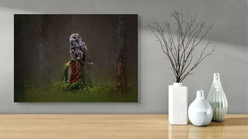 Tablou Canvas, "Bufniță solitară în pădurea înnegurată", Bufniță, Noapte, Pădure, Trunchi, Muschi, Mister, Calm, Natură, Umbre, 70 x 50 cm – poza 3