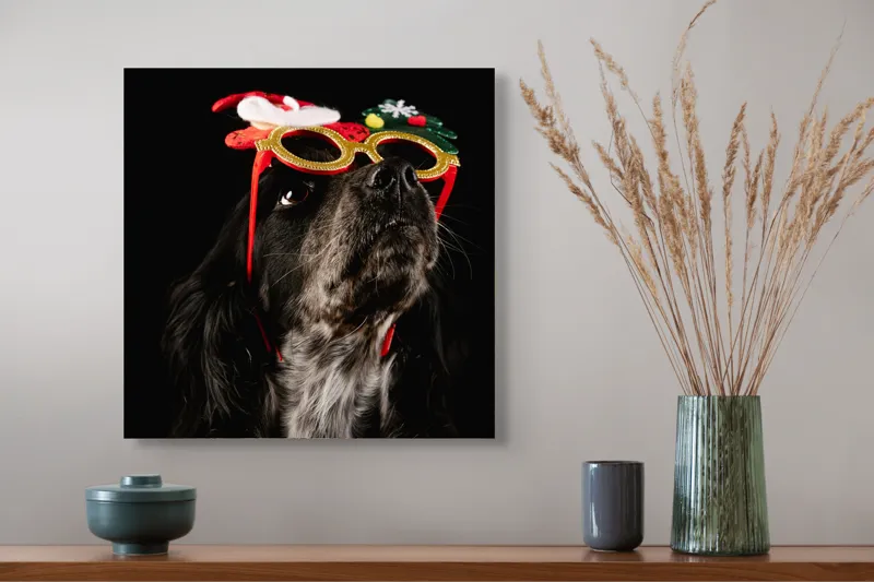 Tablou Canvas, "Câine cu ochelari de Crăciun", Câine, Ochelari, Amuzant, Întuneric, Crăciun, Negru, Urechi, Blană, Nas, Fundal, 50 x 50 cm – poza 4