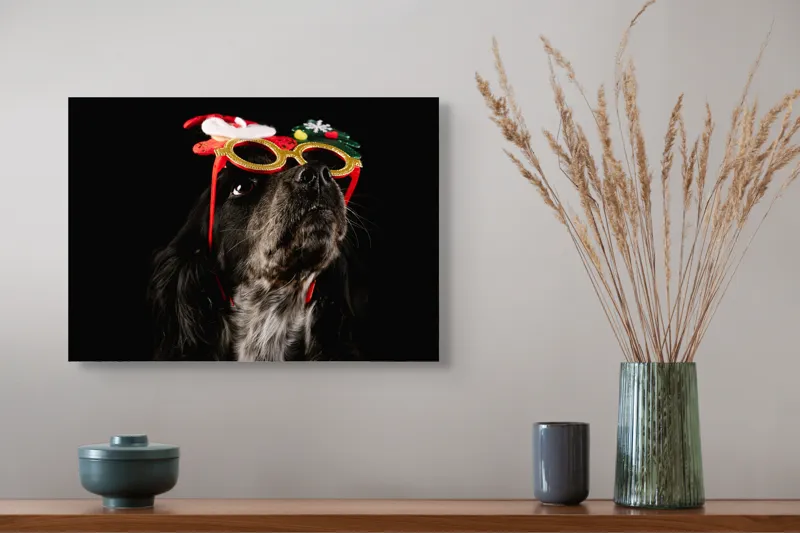 Tablou Canvas, "Câine cu ochelari de Crăciun", Câine, Ochelari, Amuzant, Întuneric, Crăciun, Negru, Urechi, Blană, Nas, Fundal, 54 x 39 cm – poza 4