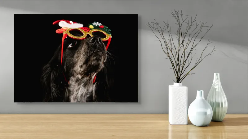 Tablou Canvas, "Câine cu ochelari de Crăciun", Câine, Ochelari, Amuzant, Întuneric, Crăciun, Negru, Urechi, Blană, Nas, Fundal, 70 x 50 cm – poza 3