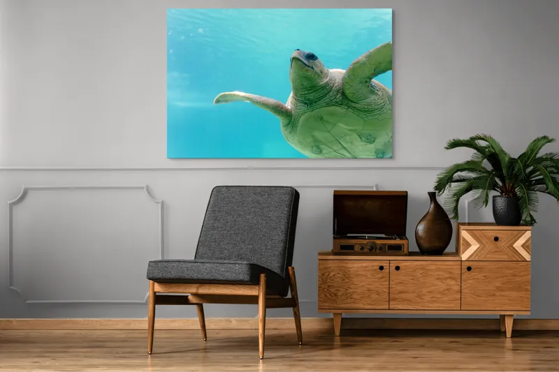 Tablou Canvas, "Țestoasa în albastrul oceanului liniștit", Turtle, Water, Graceful, Swimming, Tranquil, 150 x 100 cm – poza 8
