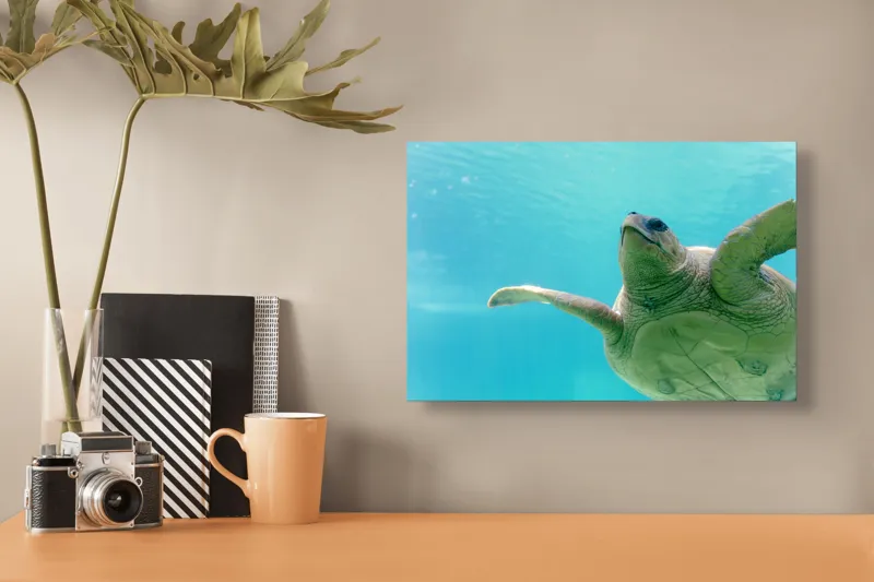 Tablou Canvas, "Țestoasa în albastrul oceanului liniștit", Turtle, Water, Graceful, Swimming, Tranquil, 39 x 26 cm – poza 3