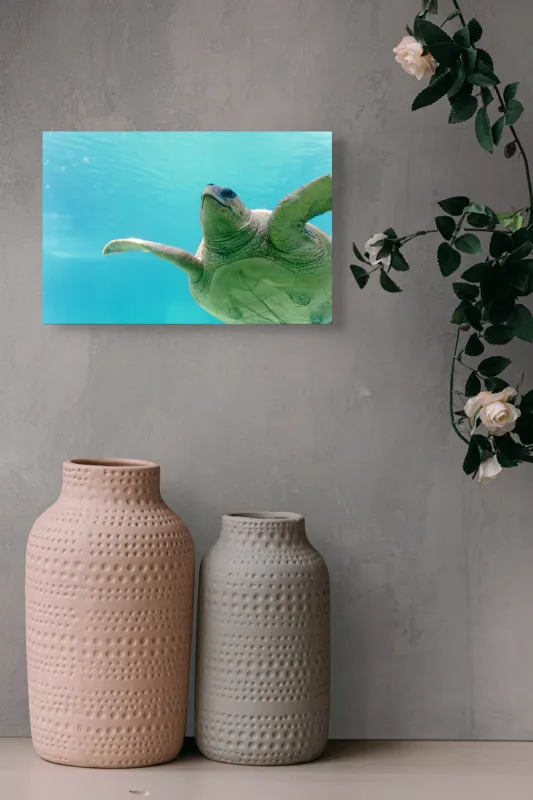 Tablou Canvas, "Țestoasa în albastrul oceanului liniștit", Turtle, Water, Graceful, Swimming, Tranquil, 39 x 26 cm – poza 4