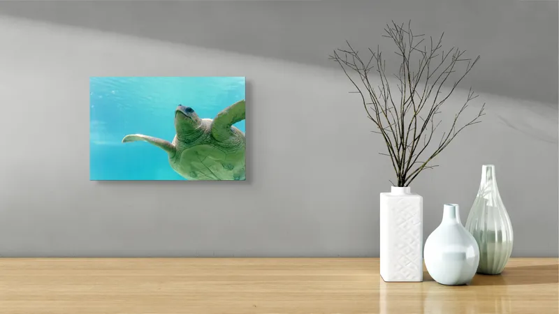 Tablou Canvas, "Țestoasa în albastrul oceanului liniștit", Turtle, Water, Graceful, Swimming, Tranquil, 39 x 26 cm – poza 8