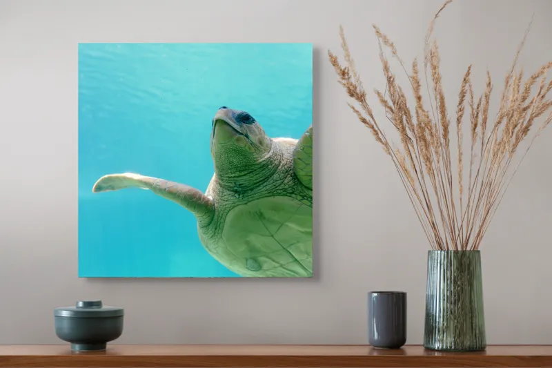Tablou Canvas, "Țestoasa în albastrul oceanului liniștit", Turtle, Water, Graceful, Swimming, Tranquil, 50 x 50 cm – poza 4