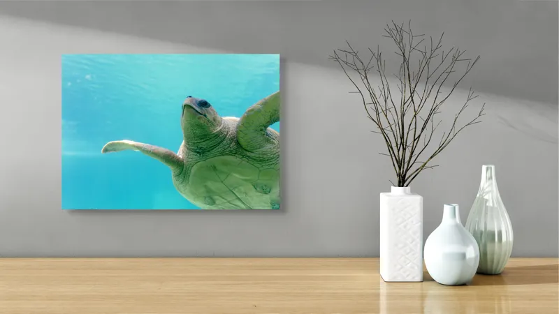Tablou Canvas, "Țestoasa în albastrul oceanului liniștit", Turtle, Water, Graceful, Swimming, Tranquil, 54 x 39 cm – poza 3