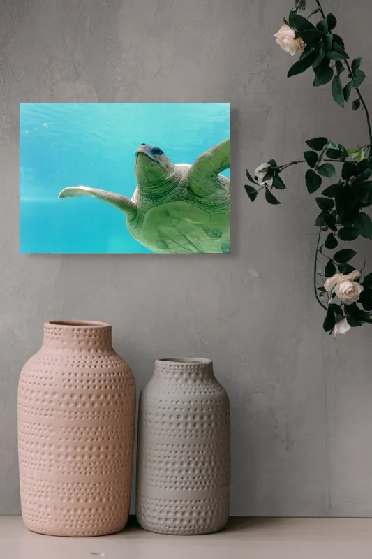 Tablou Canvas, "Țestoasa în albastrul oceanului liniștit", Turtle, Water, Graceful, Swimming, Tranquil, 54 x 39 cm – poza 8