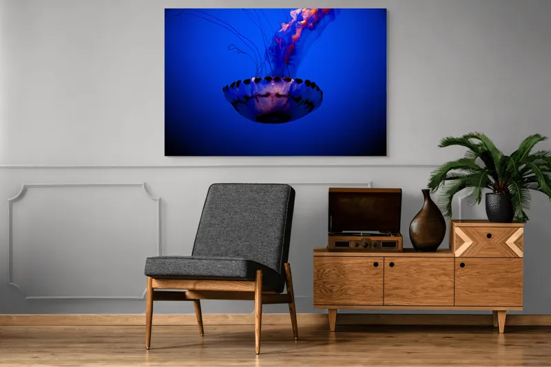 Tablou Canvas, "Meduza dansând în albastrul oceanului", Meduză, Lumină, Albastru, Frumusețe, Ocean, Grație, Mister, Eleganță, Tentacule, Natură., 150 x 100 cm – poza 8