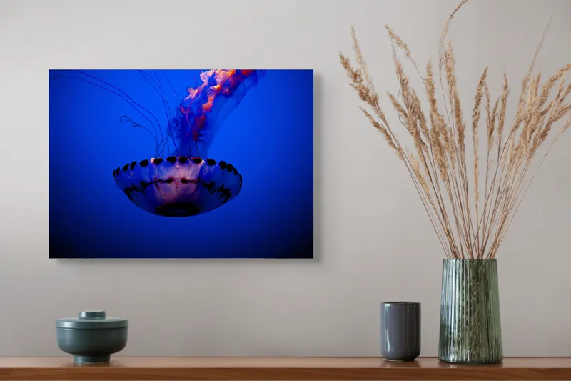 Tablou Canvas, "Meduza dansând în albastrul oceanului", Meduză, Lumină, Albastru, Frumusețe, Ocean, Grație, Mister, Eleganță, Tentacule, Natură., 54 x 39 cm – poza 4