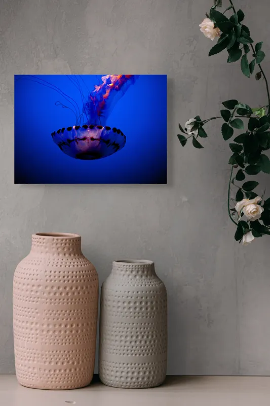 Tablou Canvas, "Meduza dansând în albastrul oceanului", Meduză, Lumină, Albastru, Frumusețe, Ocean, Grație, Mister, Eleganță, Tentacule, Natură., 54 x 39 cm – poza 8