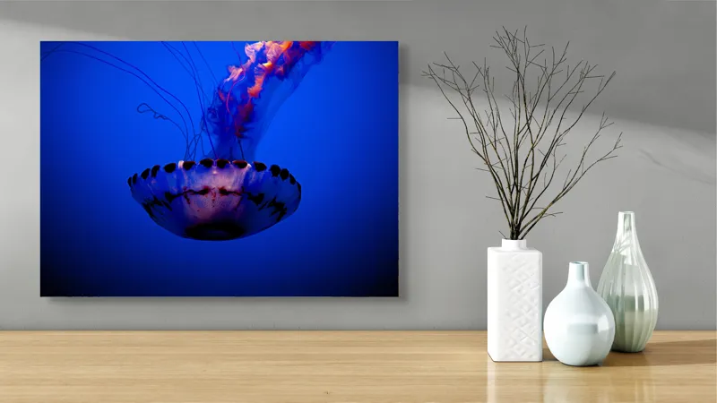 Tablou Canvas, "Meduza dansând în albastrul oceanului", Meduză, Lumină, Albastru, Frumusețe, Ocean, Grație, Mister, Eleganță, Tentacule, Natură., 70 x 50 cm – poza 3
