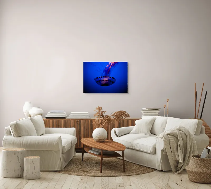 Tablou Canvas, "Meduza dansând în albastrul oceanului", Meduză, Lumină, Albastru, Frumusețe, Ocean, Grație, Mister, Eleganță, Tentacule, Natură., 70 x 50 cm – poza 6