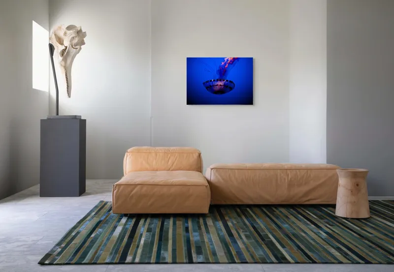 Tablou Canvas, "Meduza dansând în albastrul oceanului", Meduză, Lumină, Albastru, Frumusețe, Ocean, Grație, Mister, Eleganță, Tentacule, Natură., 70 x 50 cm – poza 8