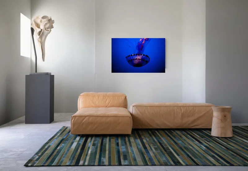 Tablou Canvas, "Meduza dansând în albastrul oceanului", Meduză, Lumină, Albastru, Frumusețe, Ocean, Grație, Mister, Eleganță, Tentacule, Natură., 90 x 50 cm – poza 8