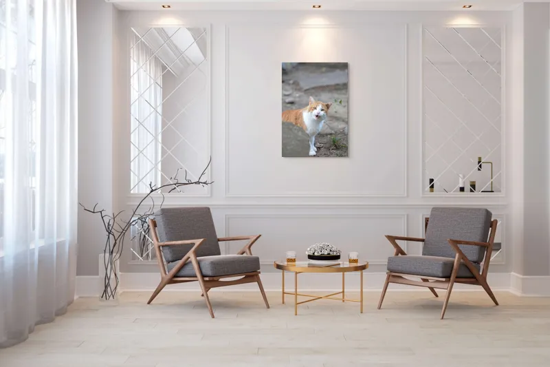Tablou Canvas, "Pisica surprinsă în mijlocul zilei", Pisică, Portocalie, Albă, Urechiușe, Surprinsă, Grădină, Privire, Exclamativă, 70 x 100 cm – poza 8