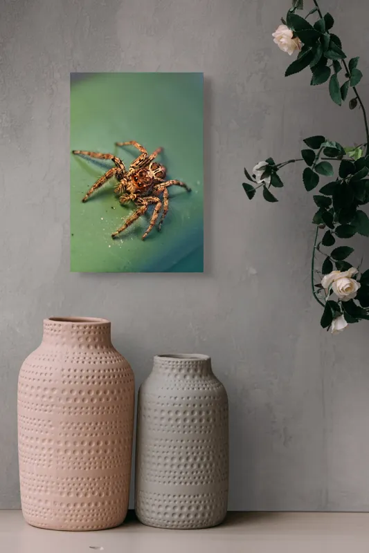 Tablou Canvas Sărutul Păianjenului pe Frunză Turcoaz Natură Detalii, 26 x 39 cm – poza 6