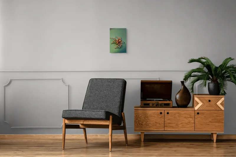 Tablou Canvas Sărutul Păianjenului pe Frunză Turcoaz Natură Detalii, 26 x 39 cm – poza 8