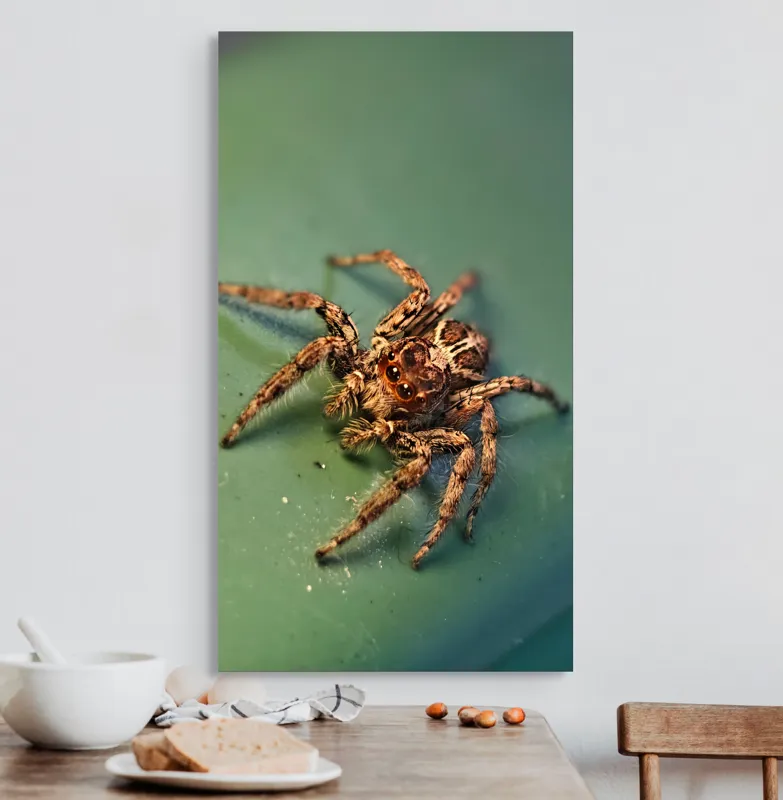 Tablou Canvas Sărutul Păianjenului pe Frunză Turcoaz Natură Detalii, 50 x 90 cm – poza 3