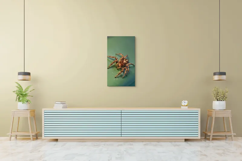 Tablou Canvas Sărutul Păianjenului pe Frunză Turcoaz Natură Detalii, 50 x 90 cm – poza 6