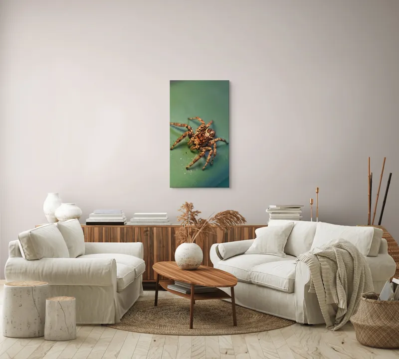 Tablou Canvas Sărutul Păianjenului pe Frunză Turcoaz Natură Detalii, 50 x 90 cm – poza 7