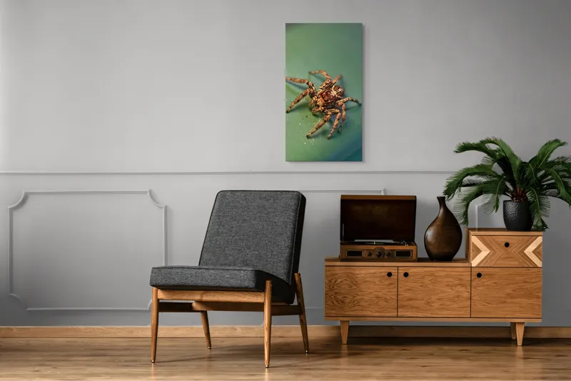 Tablou Canvas Sărutul Păianjenului pe Frunză Turcoaz Natură Detalii, 50 x 90 cm – poza 8