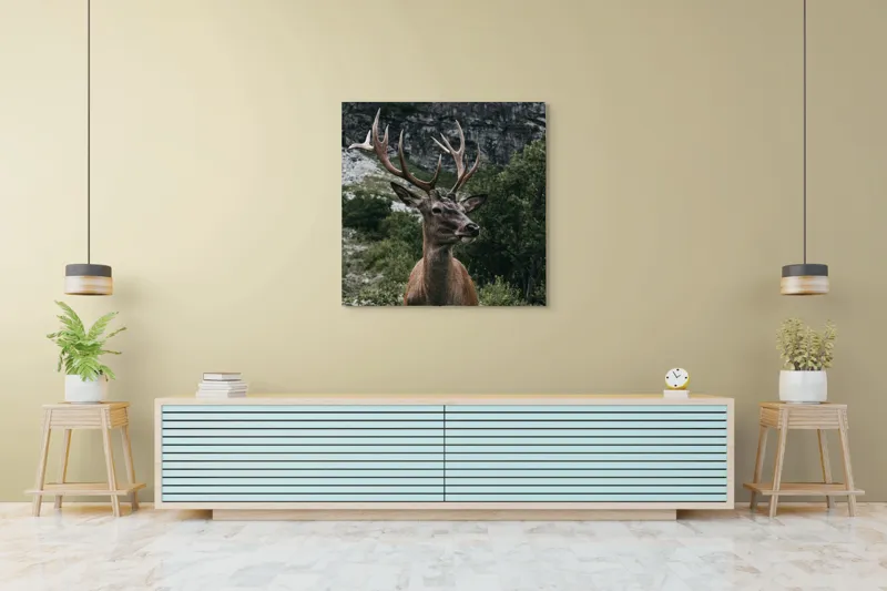 Tablou Canvas Cerb în Munții Verzi pe Fundal Natural, 100 x 100 cm – poza 5