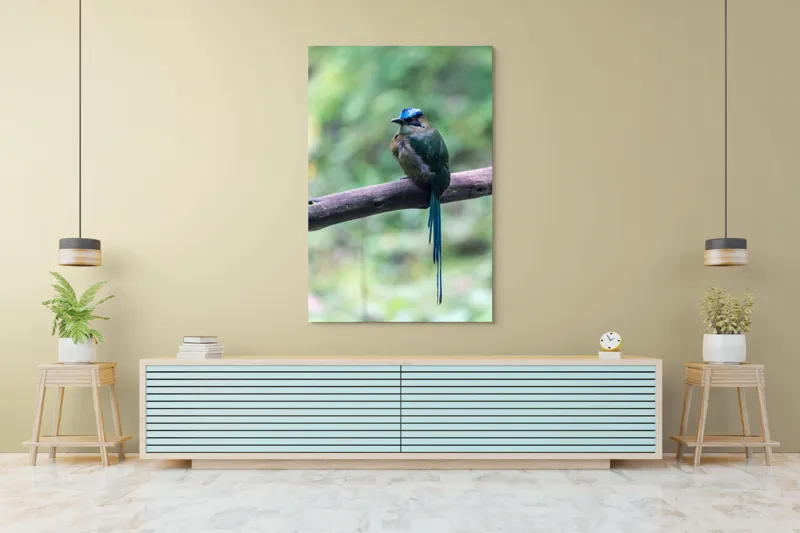 Tablou Canvas, "Pasărea cu creastă albastră pe creangă", Pasăre, Ramură, Penaj, Colorat, Coada, Lungă, Verde, Natură, Pădure, Exotism, 100 x 150 cm – poza 4