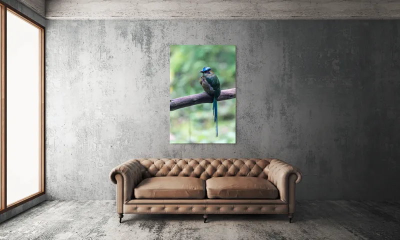 Tablou Canvas, "Pasărea cu creastă albastră pe creangă", Pasăre, Ramură, Penaj, Colorat, Coada, Lungă, Verde, Natură, Pădure, Exotism, 100 x 150 cm – poza 6
