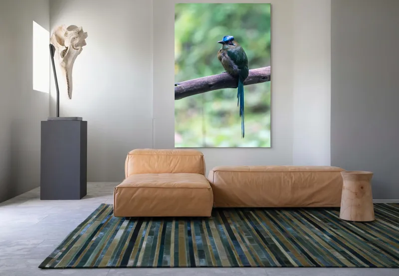 Tablou Canvas, "Pasărea cu creastă albastră pe creangă", Pasăre, Ramură, Penaj, Colorat, Coada, Lungă, Verde, Natură, Pădure, Exotism, 100 x 150 cm – poza 7