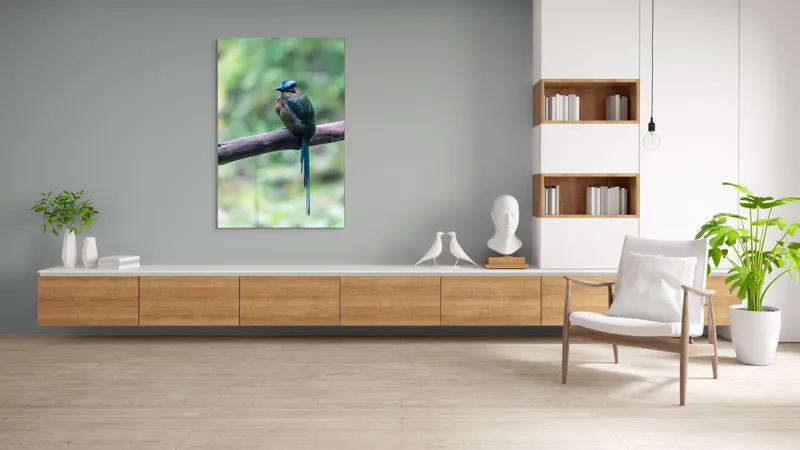 Tablou Canvas, "Pasărea cu creastă albastră pe creangă", Pasăre, Ramură, Penaj, Colorat, Coada, Lungă, Verde, Natură, Pădure, Exotism, 100 x 150 cm – poza 8