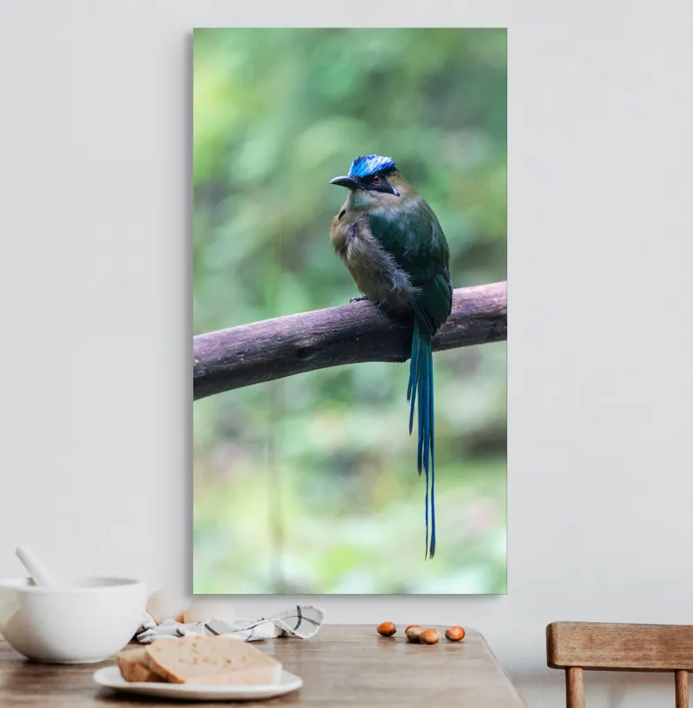 Tablou Canvas, "Pasărea cu creastă albastră pe creangă", Pasăre, Ramură, Penaj, Colorat, Coada, Lungă, Verde, Natură, Pădure, Exotism, 50 x 90 cm – poza 3