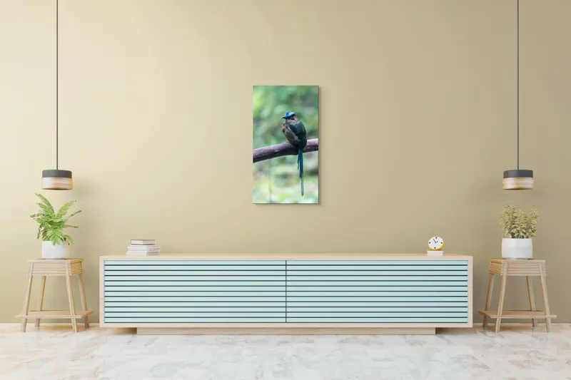 Tablou Canvas, "Pasărea cu creastă albastră pe creangă", Pasăre, Ramură, Penaj, Colorat, Coada, Lungă, Verde, Natură, Pădure, Exotism, 50 x 90 cm – poza 6