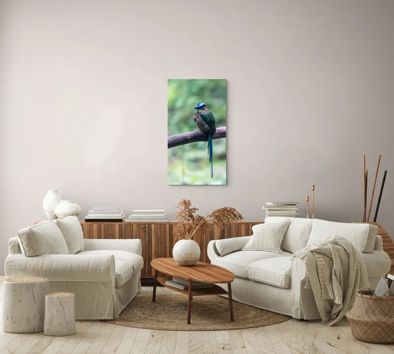 Tablou Canvas, "Pasărea cu creastă albastră pe creangă", Pasăre, Ramură, Penaj, Colorat, Coada, Lungă, Verde, Natură, Pădure, Exotism, 50 x 90 cm – poza 7