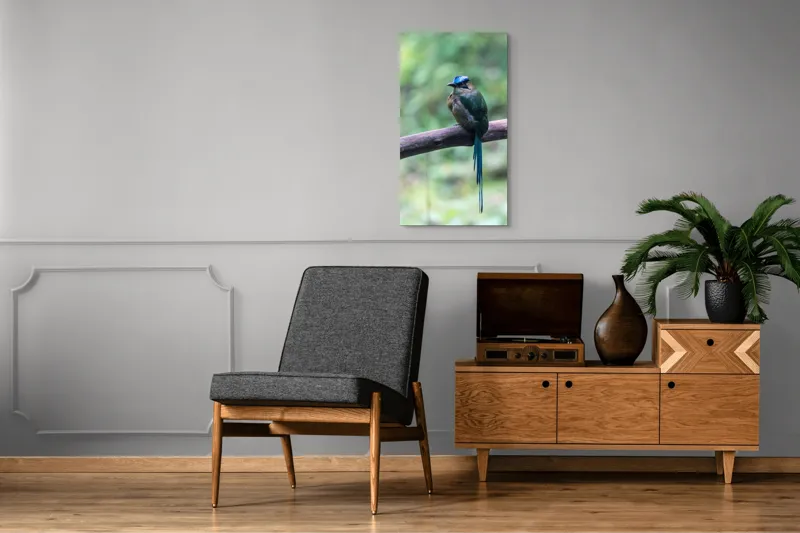 Tablou Canvas, "Pasărea cu creastă albastră pe creangă", Pasăre, Ramură, Penaj, Colorat, Coada, Lungă, Verde, Natură, Pădure, Exotism, 50 x 90 cm – poza 8