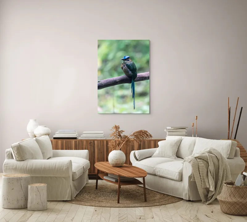 Tablou Canvas, "Pasărea cu creastă albastră pe creangă", Pasăre, Ramură, Penaj, Colorat, Coada, Lungă, Verde, Natură, Pădure, Exotism, 70 x 100 cm – poza 4